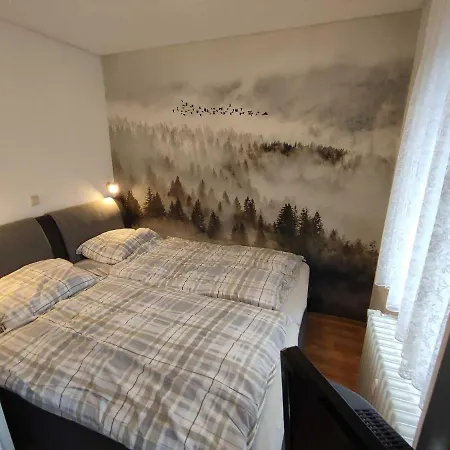 Apartman Marx, K1 Blick, Willingen, Hoppecketal, Waschmaschine, Trockner