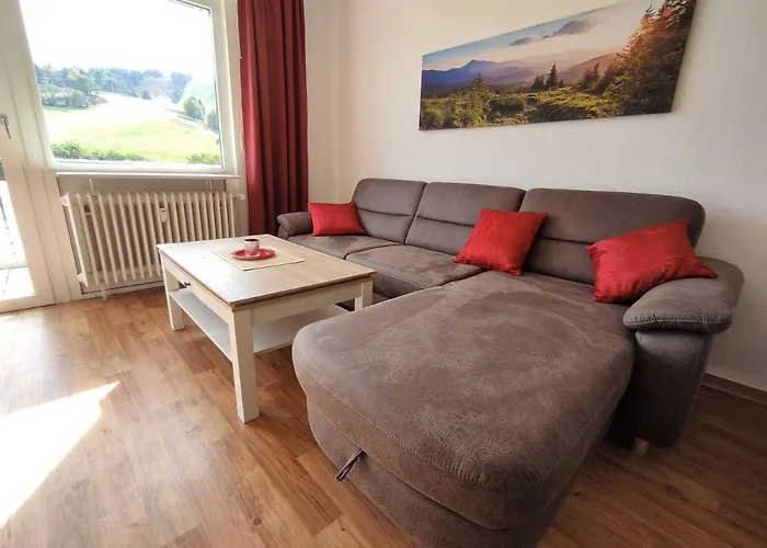 Marx, K1 Blick, Willingen, Hoppecketal, Waschmaschine, Trockner Appartement